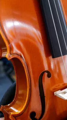 Yamaha - V5 Viola Outfit 15'' 2